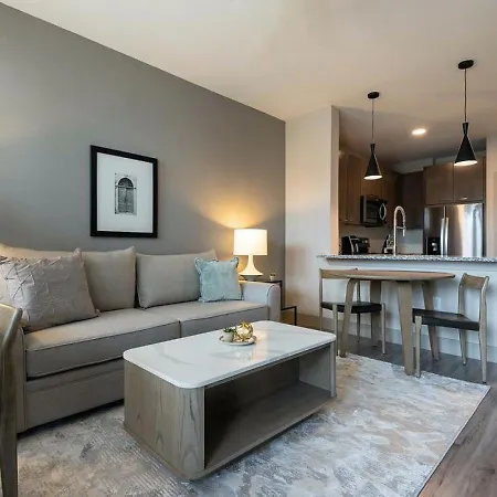 Landing Modern Apartment With Amazing Amenities